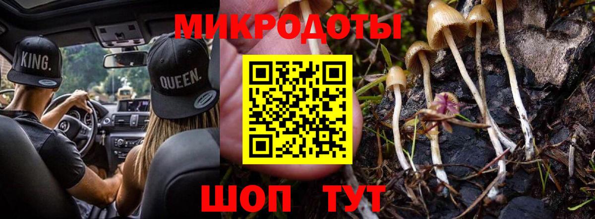 Псилоцибиновые грибы Psilocybine cubensis Десногорск