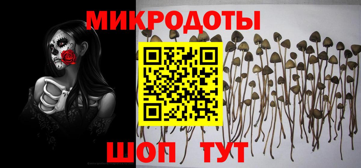 Галлюциногенные грибы Psilocybine cubensis  Вход с VPN  Десногорск 